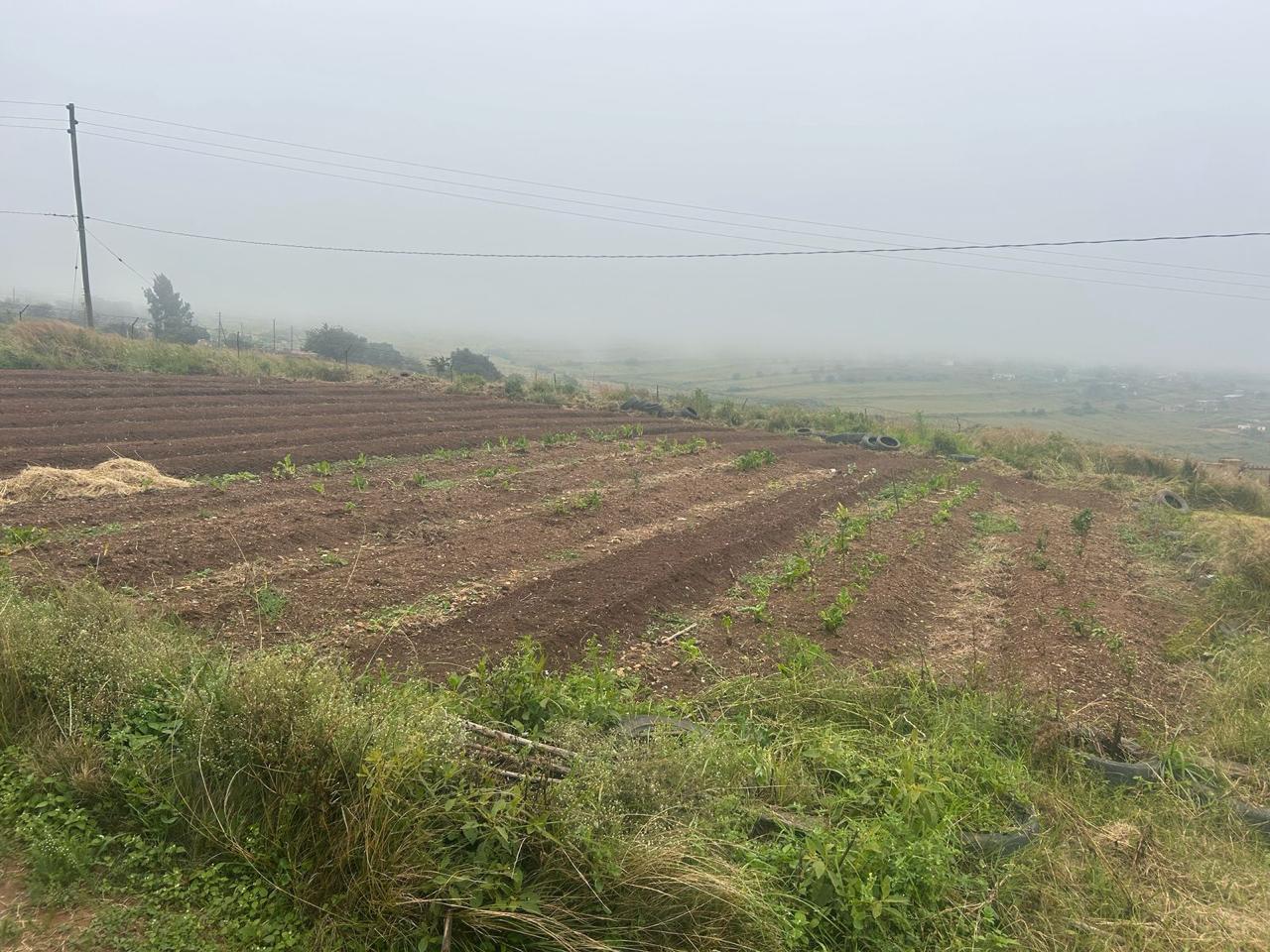 WhatsApp Image 2025-10-04 at 16.03.10(1)